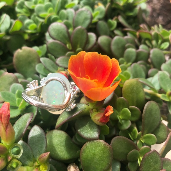 🚫sold on Curtsy🚫 - Picture 3 of 3